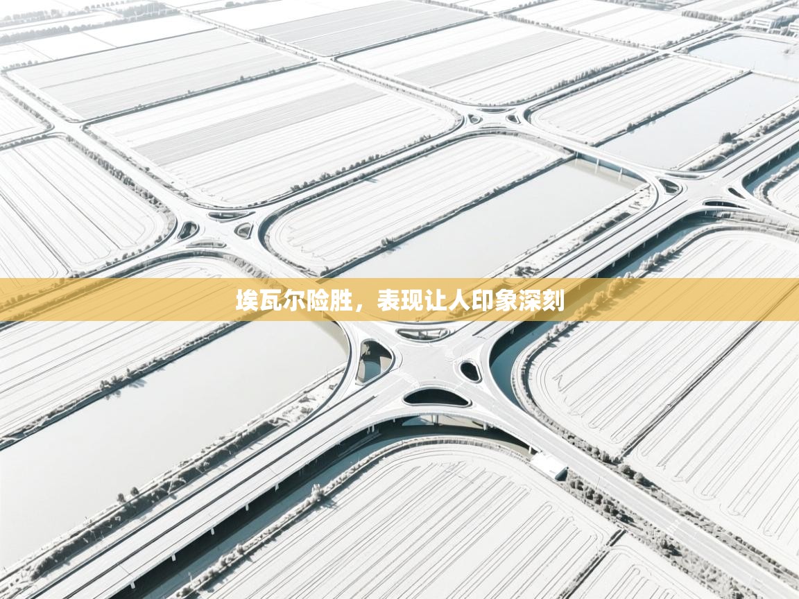 埃瓦尔险胜,表现让人印象深刻 第1张