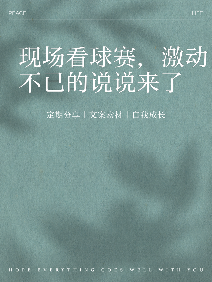 球赛紧张刺激，精彩瞬间触目惊心的简单介绍